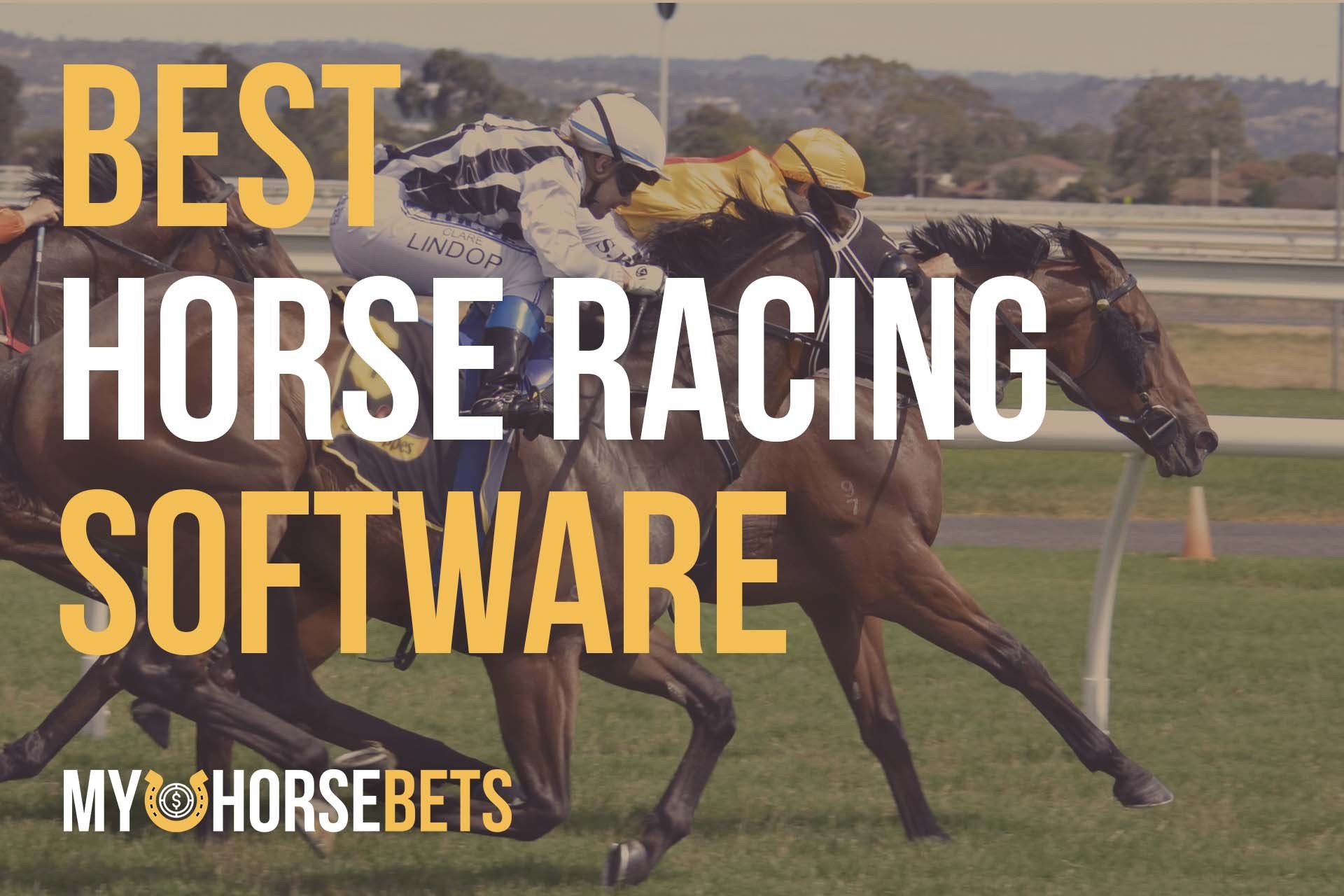 thoroughbred racing handicapping software